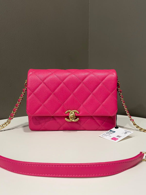 Chanel 22P Quilted Flap Bag
Rose Pink Caviar