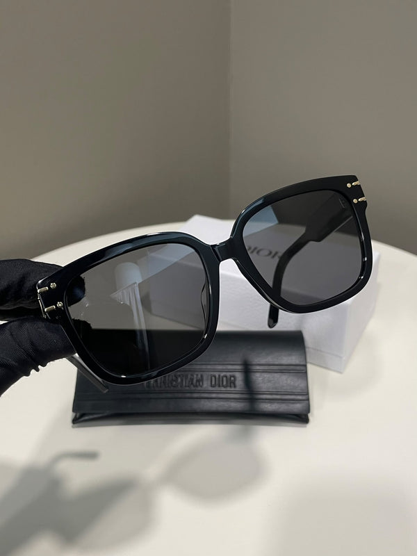 Dior Signature Sunglasses Black