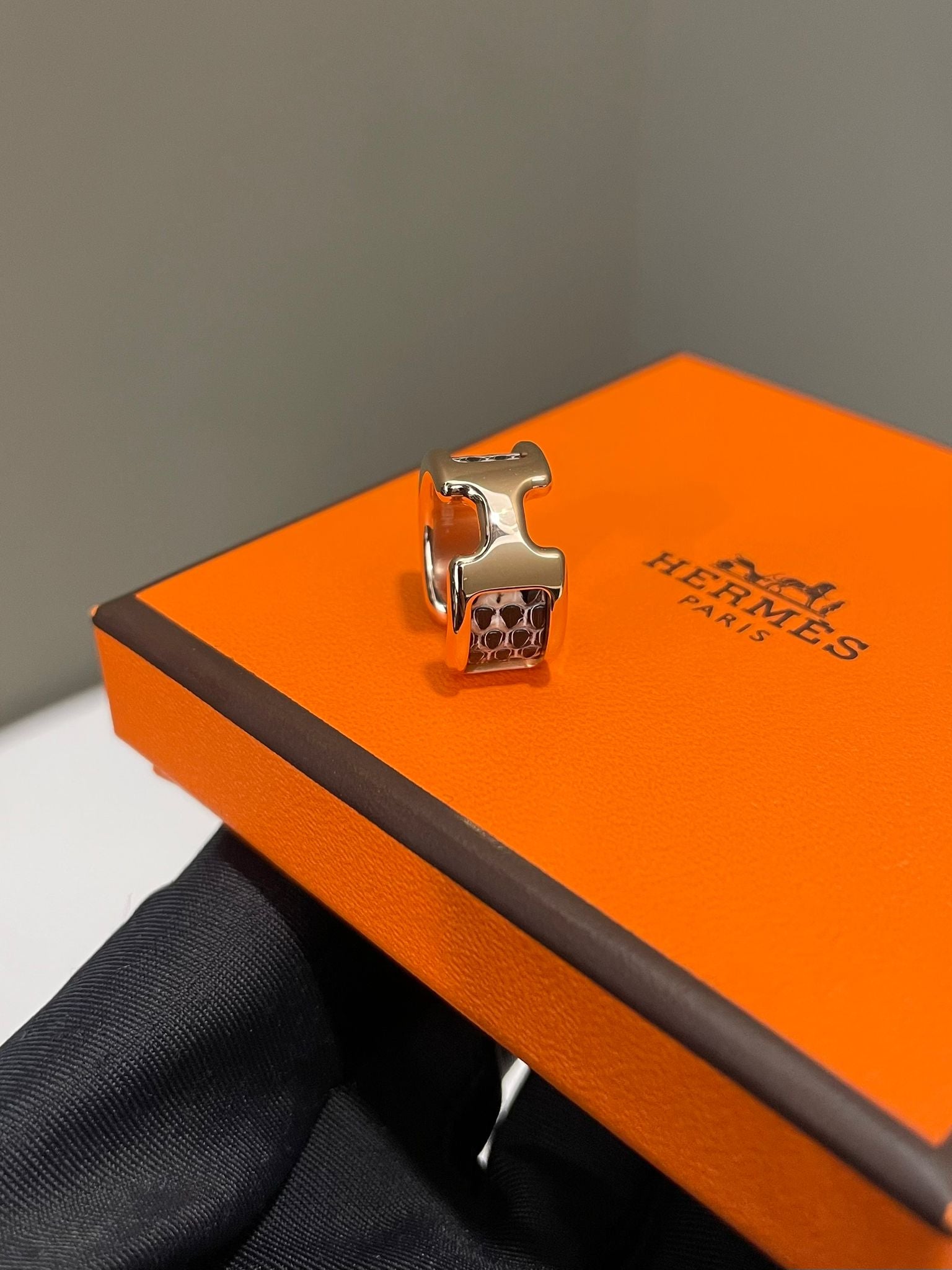 Hermes Olympe Ear Cuff SM Ombre Salva Natura Lizard – LOVELOTSLUXURY