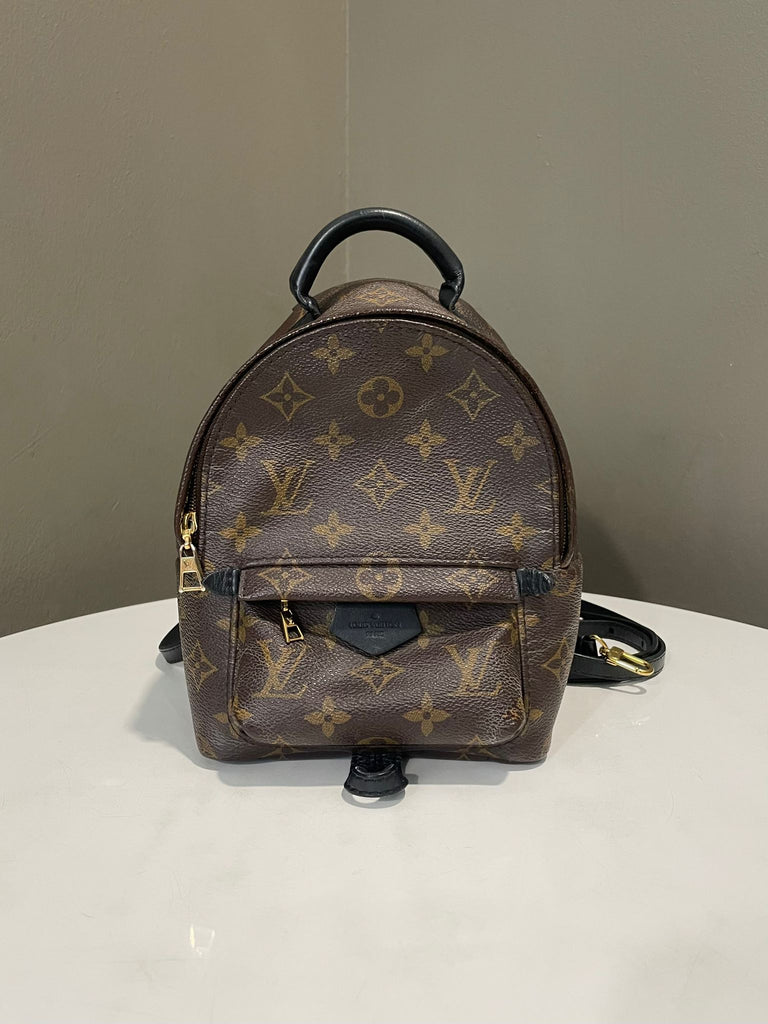 Louis Vuitton Palm Spring Mini Backpack Classic Monogram
