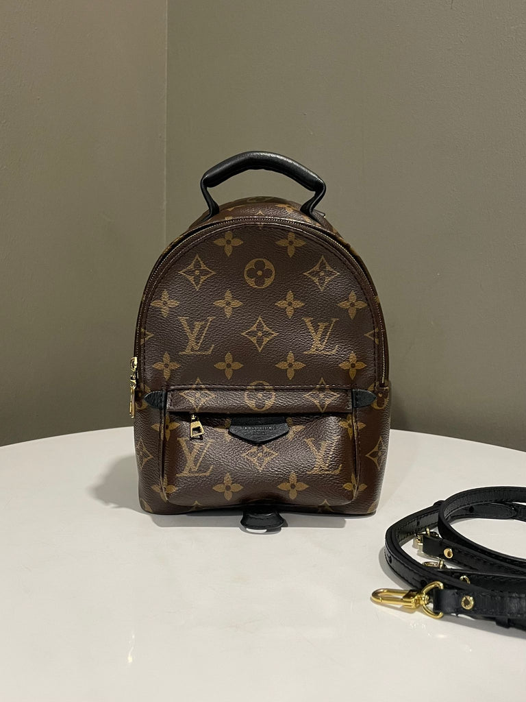 Louis Vuitton Palm Spring Mini Backpack Classic Monogram