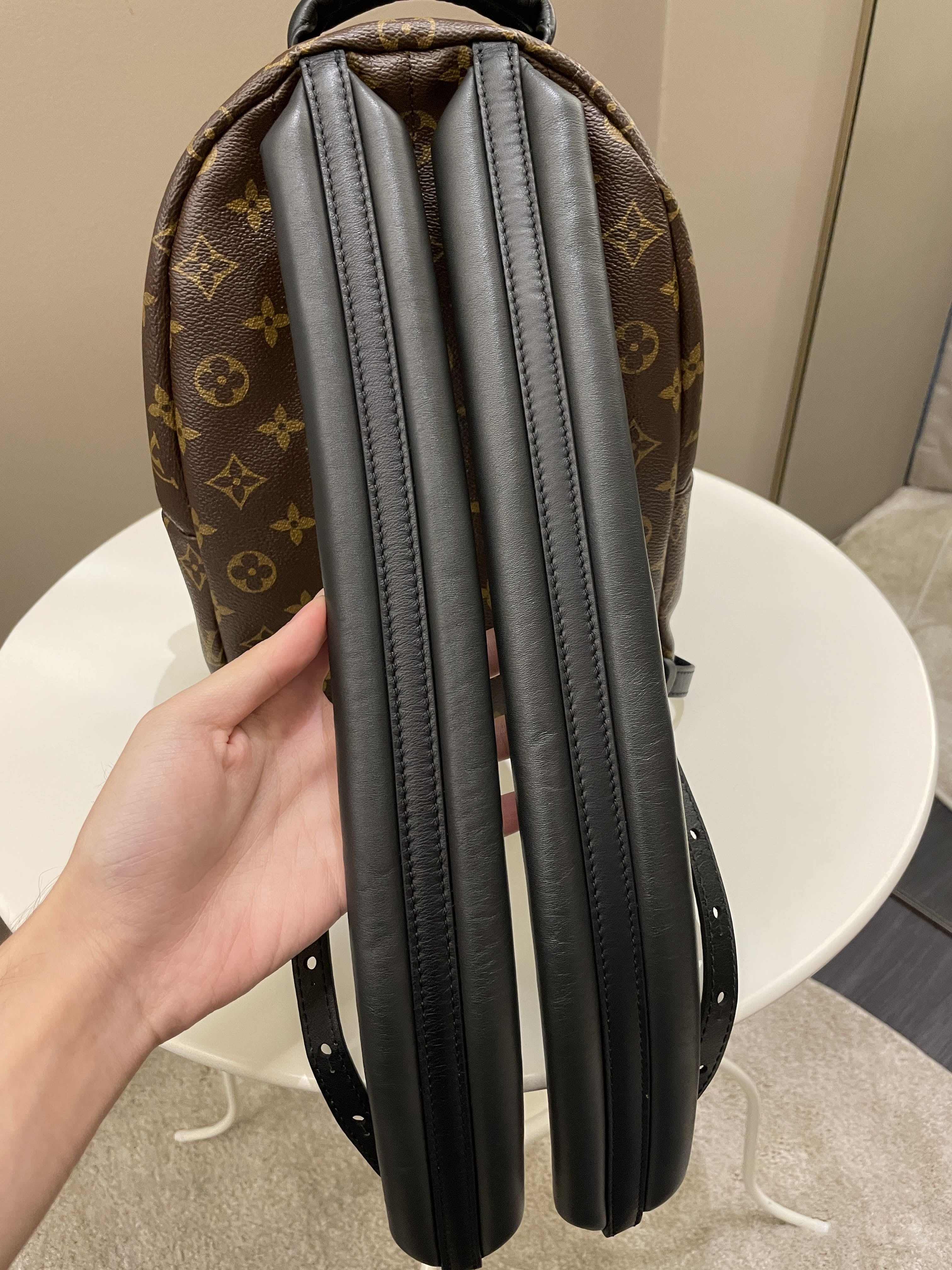 Louis Vuitton Palm Spring Backpack Classic Monogram