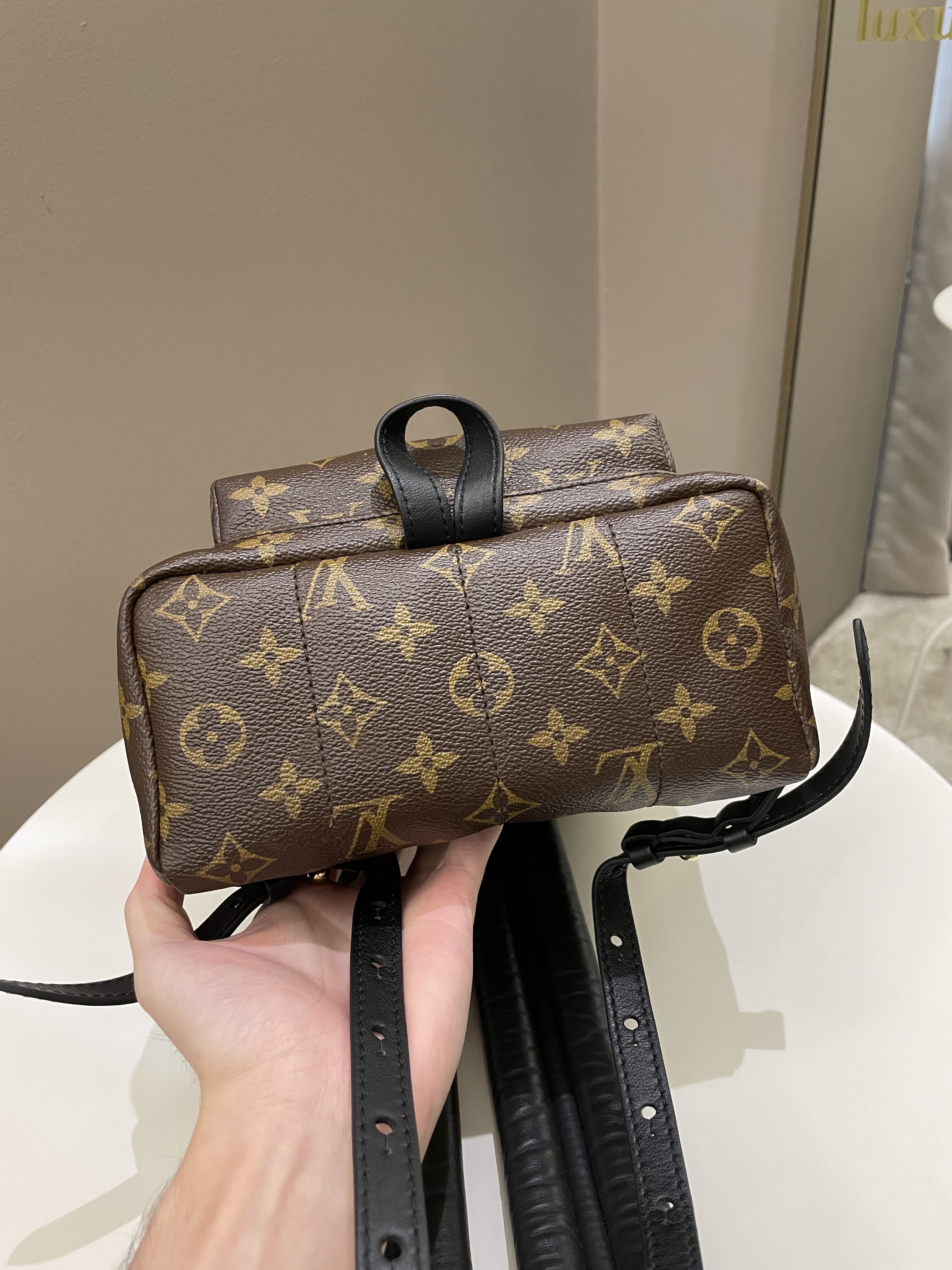 Louis Vuitton Palm Spring Backpack Classic Monogram