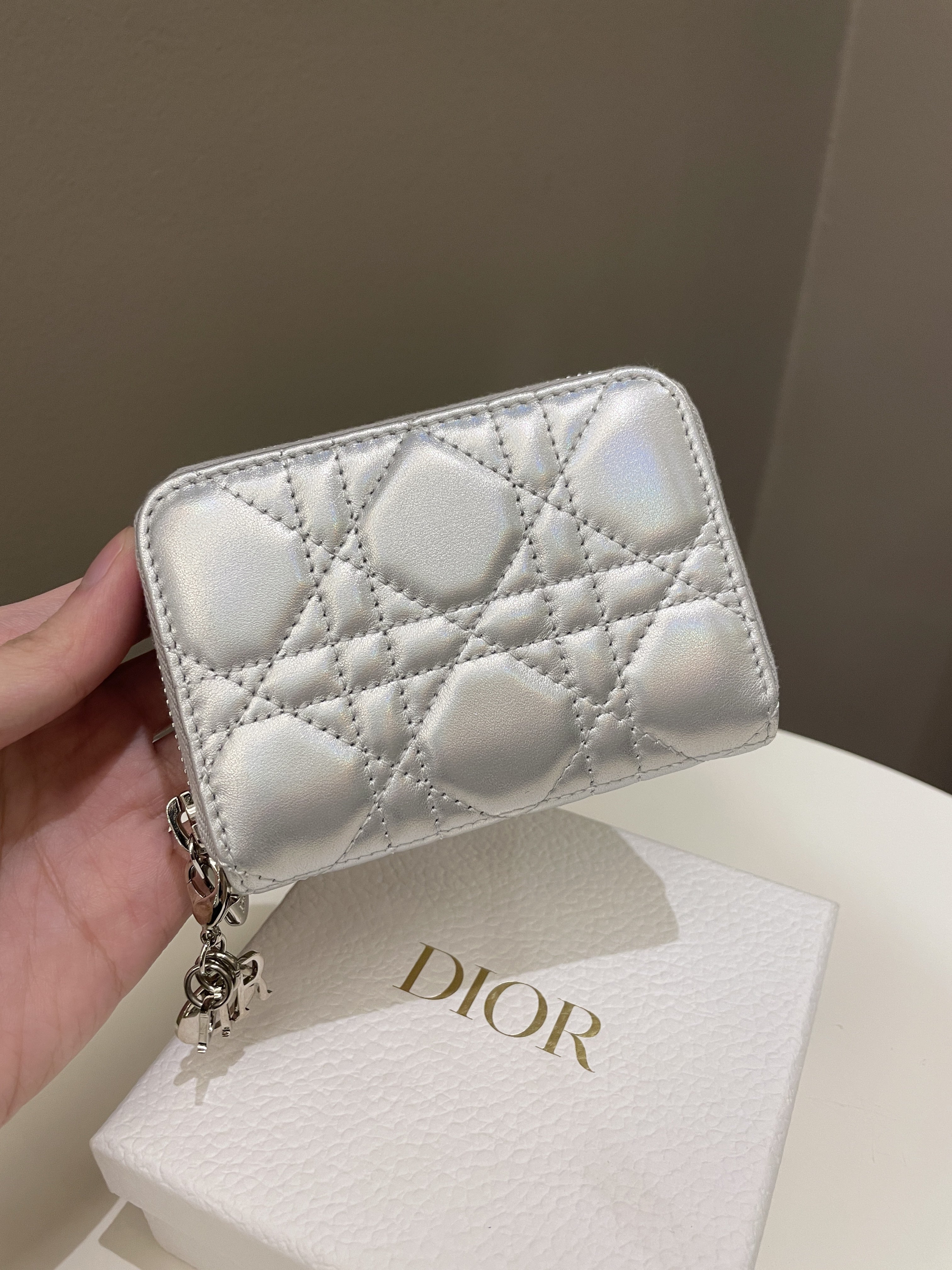 Dior Voyaguer Coin Purse Iridescent Silver