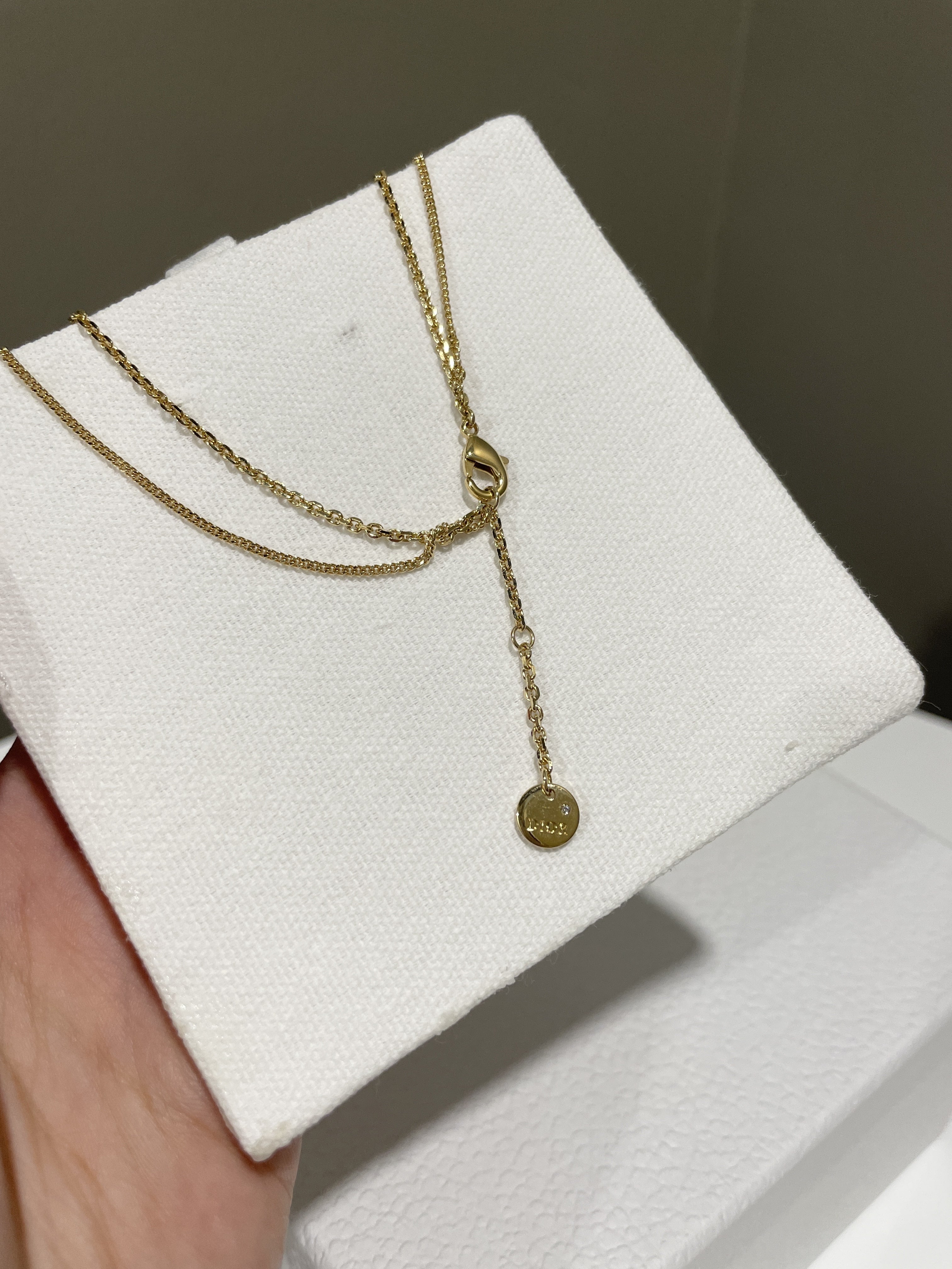 Dior Double Chain CD Necklace