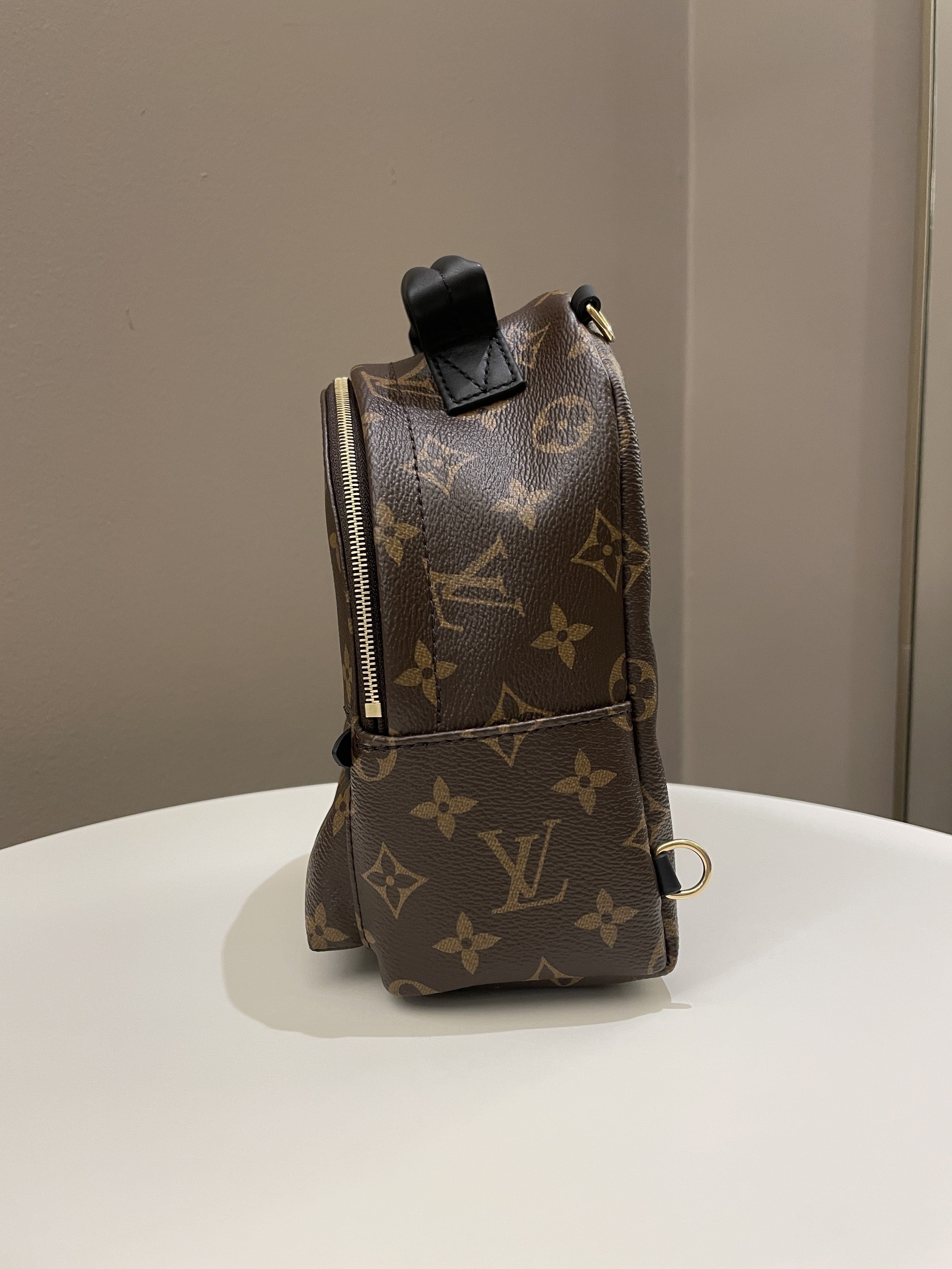 Louis Vuitton Palm Spring Mini Backpack Classic Monogram