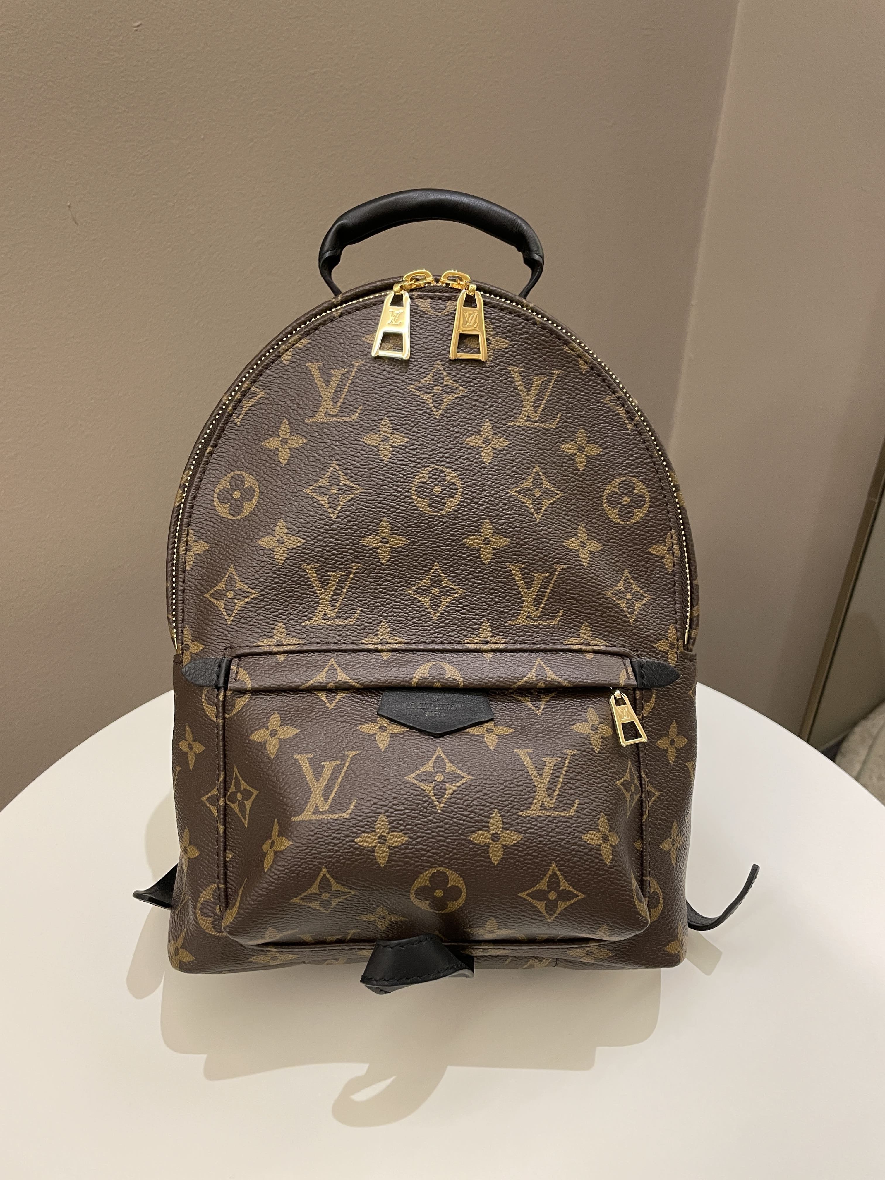 Louis Vuitton Monogram Palm Springs PM - Brown Backpacks, Handbags