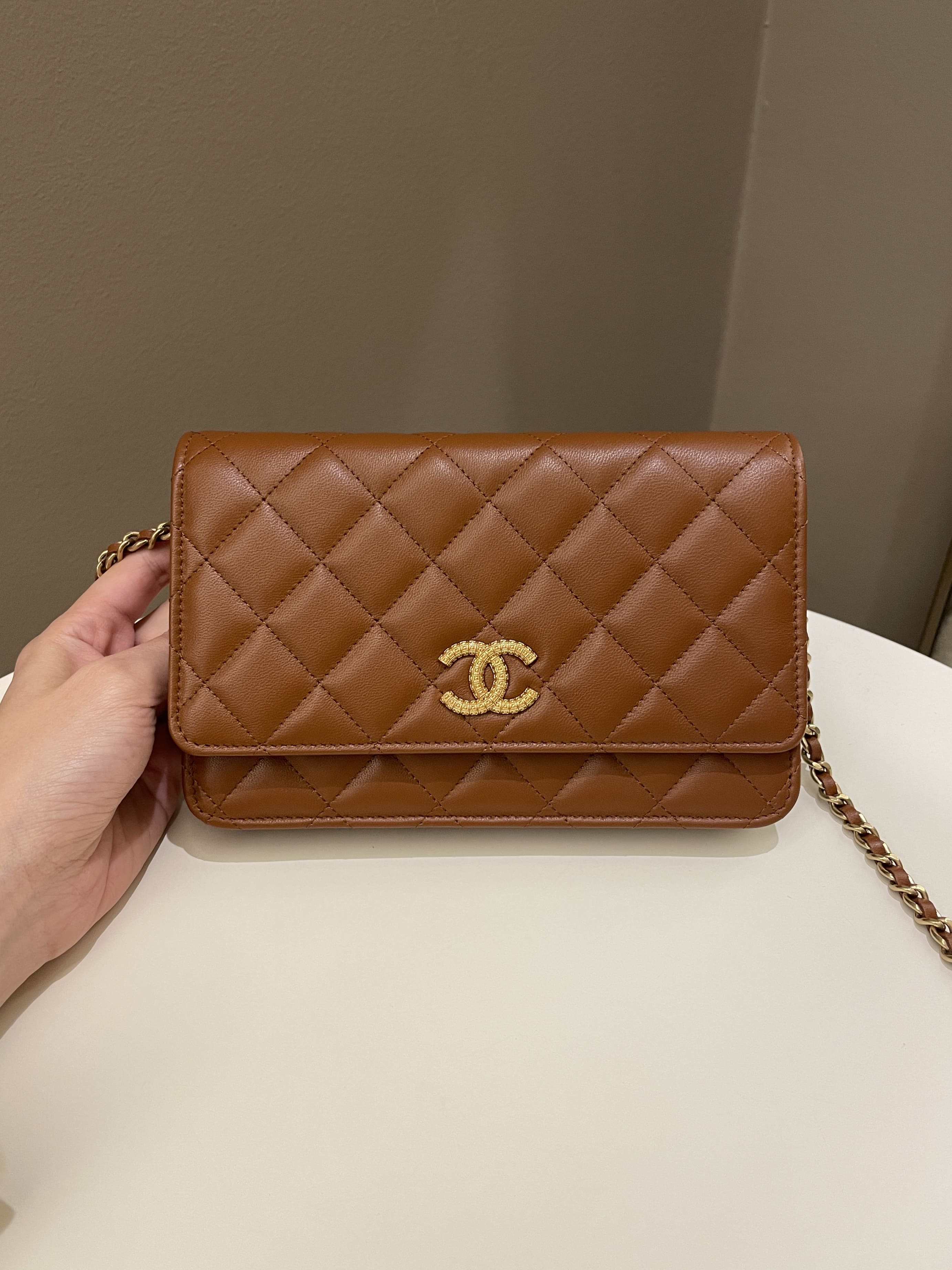 CHANEL Lambskin Quilted Chanel 19 Wallet On Chain WOC Brown