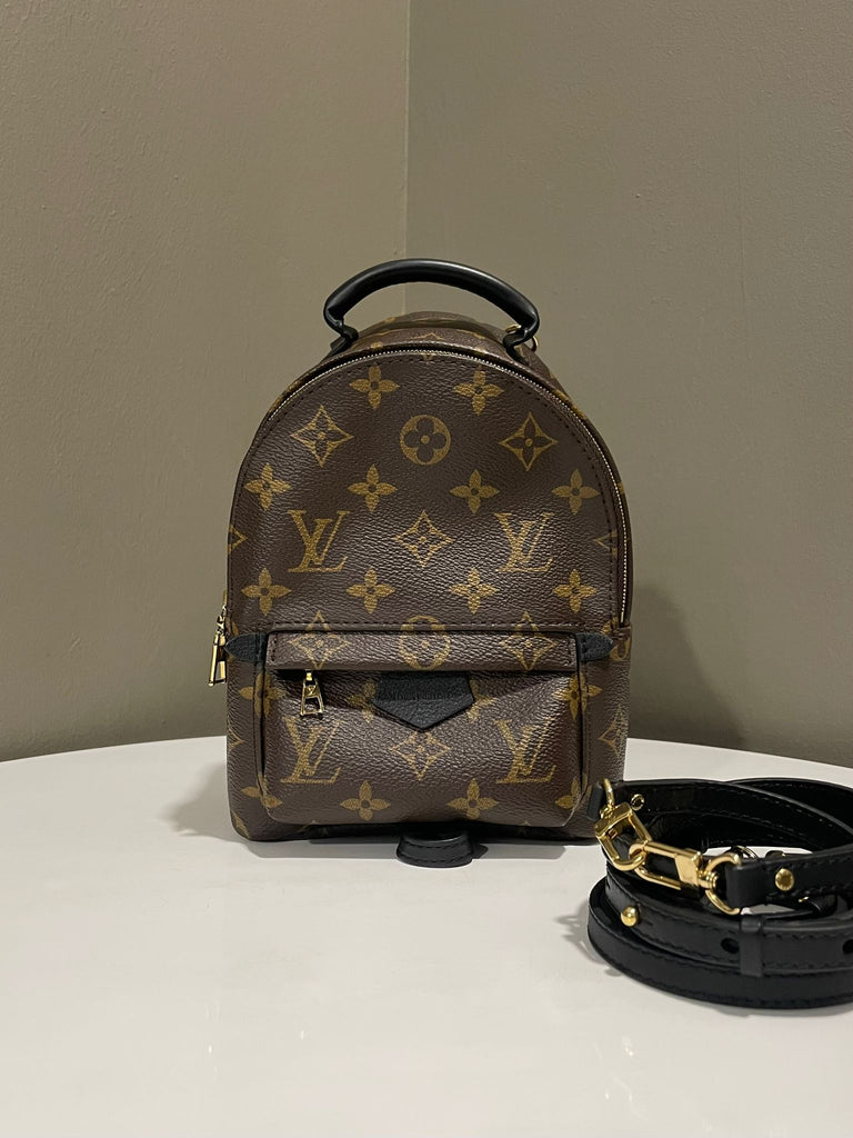 Louis Vuitton Palm Spring Mini Backpack Monogram Reverse
