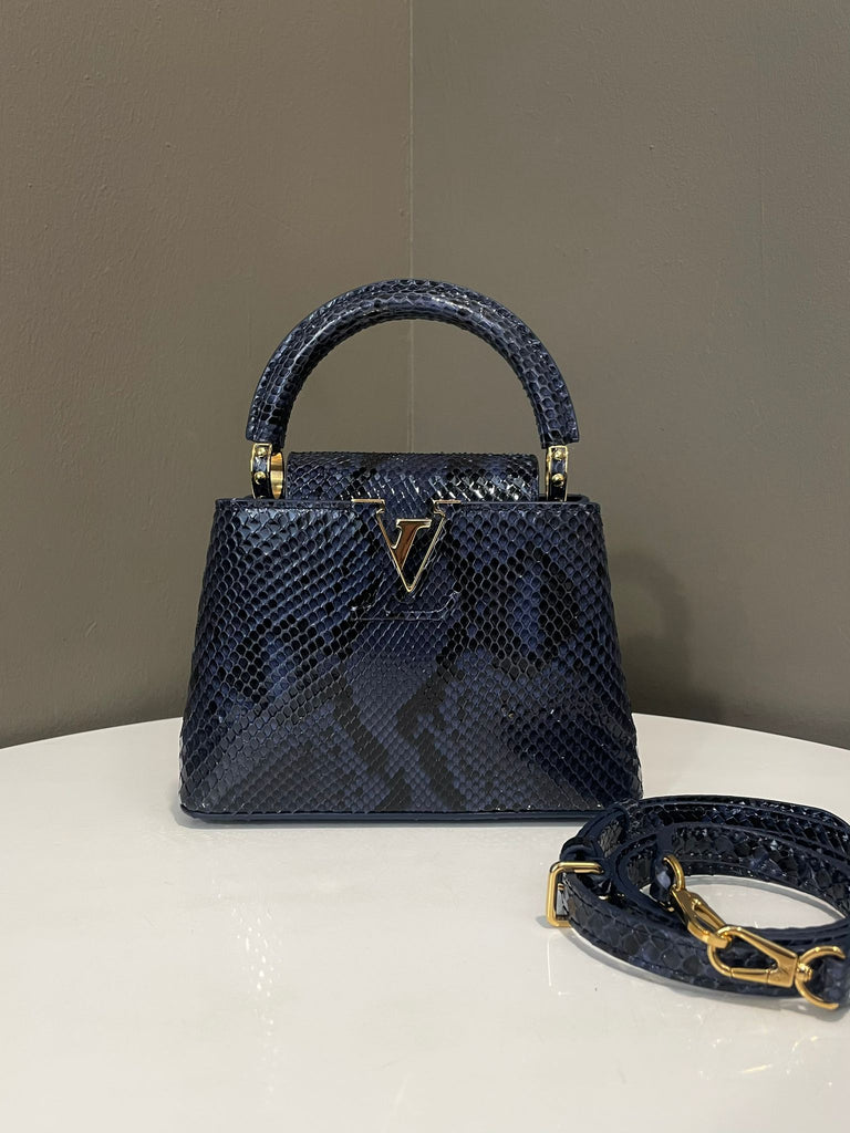 Louis Vuitton Capuccine Mini Blue Python