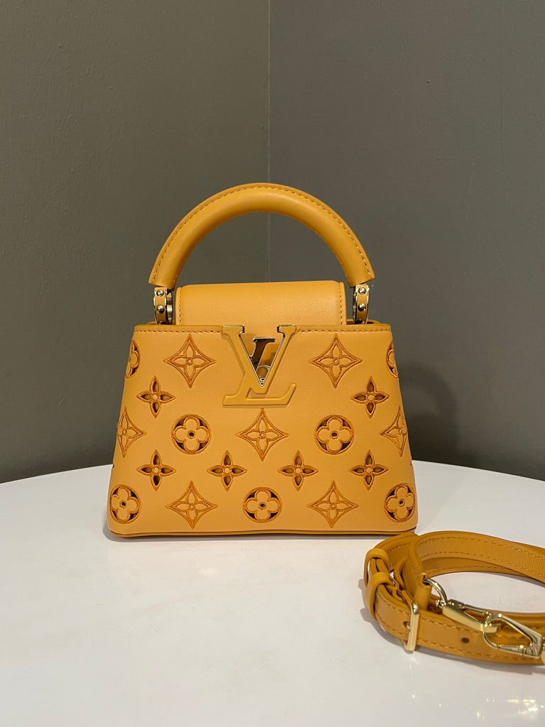 Louis Vuitton Cappucine Bag Tan Calfskin